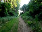  Wanderroute durch die Traisenau 