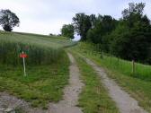  Blick auf die Wanderstrecke 