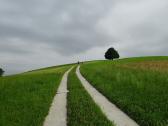 Blick auf die Wanderstrecke bergan zur Friedenskapelle 