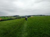  Blick auf die Wanderstrecke auf der Anhhe 