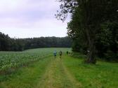  Blick auf die Wanderstrecke 