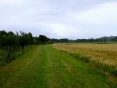  im Regen entlang der Melk 