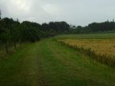  im Regen entlang der Melk 