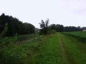  Wanderweg entlang der Melk am linken Ufer 