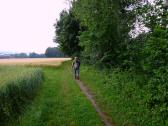  Wanderweg entlang der Melk am rechten Ufer 