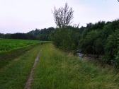  Wanderweg entlang der Melk am rechten Ufer 