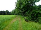  Wanderweg entlang der Melk am rechten Ufer 