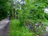  Wanderweg entlang der Melk am rechten Ufer 
