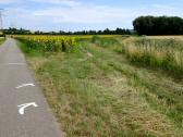  Blick auf die Wanderroute 