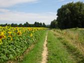  Wanderstrecke entlang der Schmida 