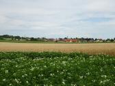  Fernblick nach Growetzdorf 