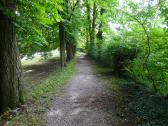  Wanderroute durch die schne Allee 