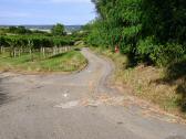  Blick auf die Wanderroute 