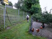  es geht bergan 