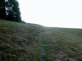  es geht weiter bergan auf dem Reitberg 