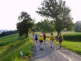  Blick auf die Wanderstrecke am Reitberg 
