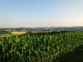  herrliche Fernsicht 
