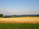  Fernblick zur Burg Clam 