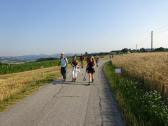 Marathonis auf dem Weg zur 2. K+L, hier zweigte am Rckweg die 12 km Wanderstrecke ab