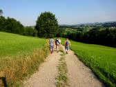  Blick auf die Wanderstrecke 