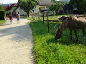  Wanderroute ber die Breitenangerstrae 