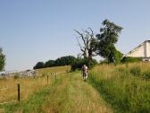  Blick auf die Wanderstrecke am Mhlberg 