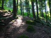  Wanderweg zum Marienstein 