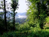  schner Fernblick nach Grein 