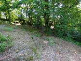  Wanderweg zum Marienstein 