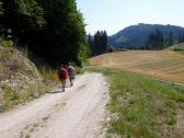  Blick auf die Wanderstrecke zum Ghs Aumhle 