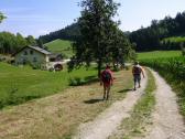  Blick auf die Wanderstrecke zum Ghs Aumhle 