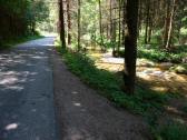  Wanderweg entlang des Gieenbachs 