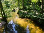  Blick auf den Gieenbach 