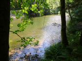  Blick auf den aufgestauten Gieenbach 
