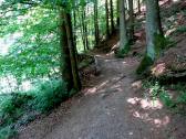  Wanderweg entlang des Gieenbachs 