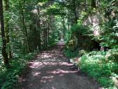  Wanderroute auf der Klammleiten 