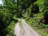  Wanderroute auf der Klammleiten 