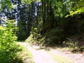  Wanderroute auf der Klammleiten 