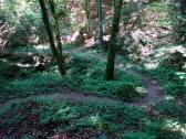  Wanderroute durch den Plzlehnergraben 