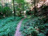  Wanderroute durch den Plzlehnergraben 