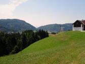  Fernblick beim Gehft Ptzlehner zur Donau 