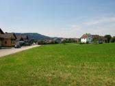  Blick nach Grein 