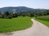  Fernblick zum Schloss Greinburg 