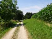  Blick auf die Wanderstrecke nach Grein 