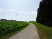  Blick auf die Wanderstrecke 