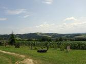  schner Fernblick nach (zum) Kollmitzberg 