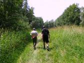  Blick auf die Wanderroute im Machland 