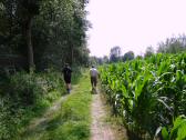  Blick auf die Wanderroute im Machland 