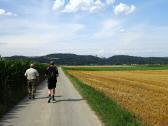  Blick auf die Wanderstrecke im Machland 