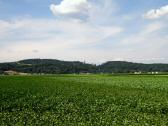  schner Fernblick zur Burg Clam 